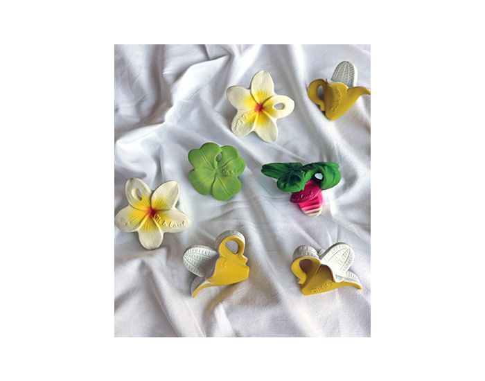 OLI & CAROL Chewy - Eli Le Tr�fle - D�s la Naissance (13)