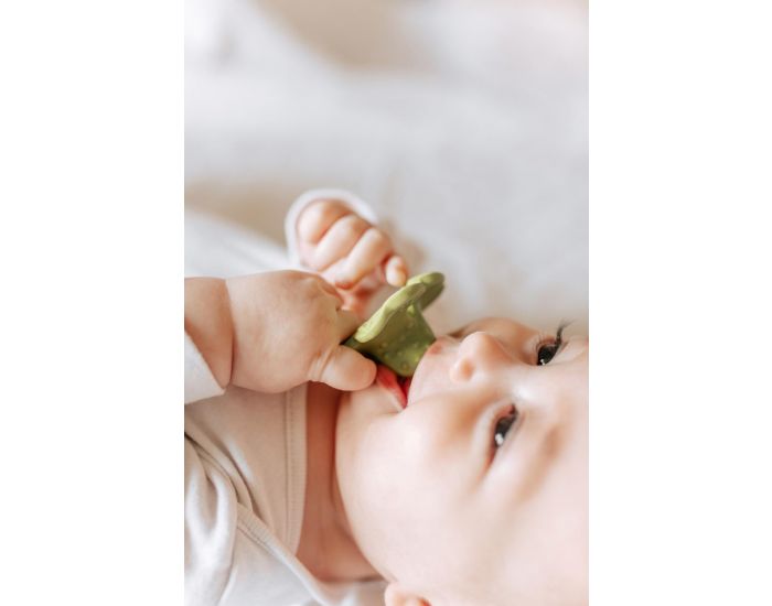 OLI & CAROL Chewy - Eli Le Tr�fle - D�s la Naissance (4)