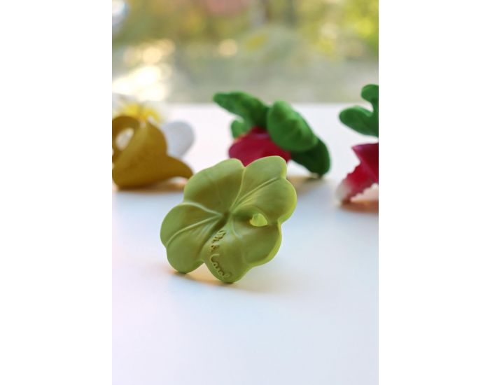 OLI & CAROL Chewy - Eli Le Tr�fle - D�s la Naissance (5)