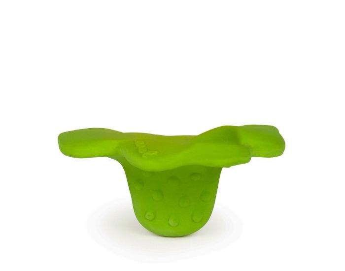 OLI & CAROL Chewy - Eli Le Tr�fle - D�s la Naissance (7)