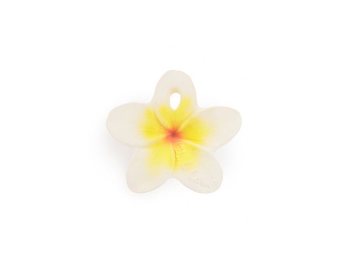 OLI & CAROL Chewy-to-Go - Hawaii la Fleur - Ds la Naissance (10)