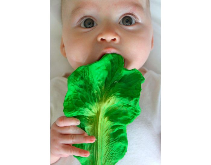 OLI & CAROL Jouet de Dentition Kendall Le Chou - D�s la Naissance (1)