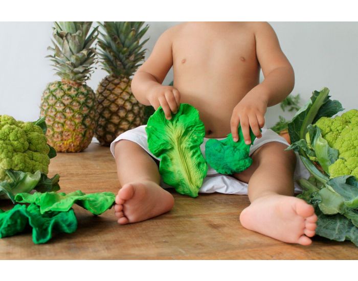 OLI & CAROL Jouet de Dentition Kendall Le Chou - D�s la Naissance (2)