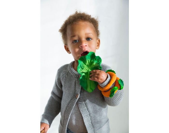 OLI & CAROL Jouet de Dentition Kendall Le Chou - D�s la Naissance (3)