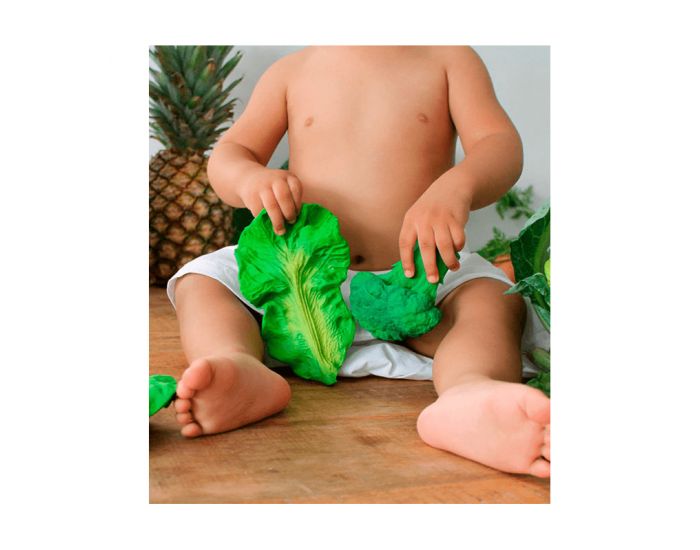 OLI & CAROL Jouet de Dentition Kendall Le Chou - D�s la Naissance (9)