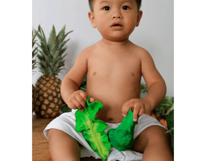 OLI & CAROL Jouet de Dentition Kendall Le Chou - D�s la Naissance (10)