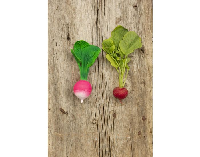 OLI & CAROL Jouet de Dentition Ramona le Radis - D�s la Naissance (5)