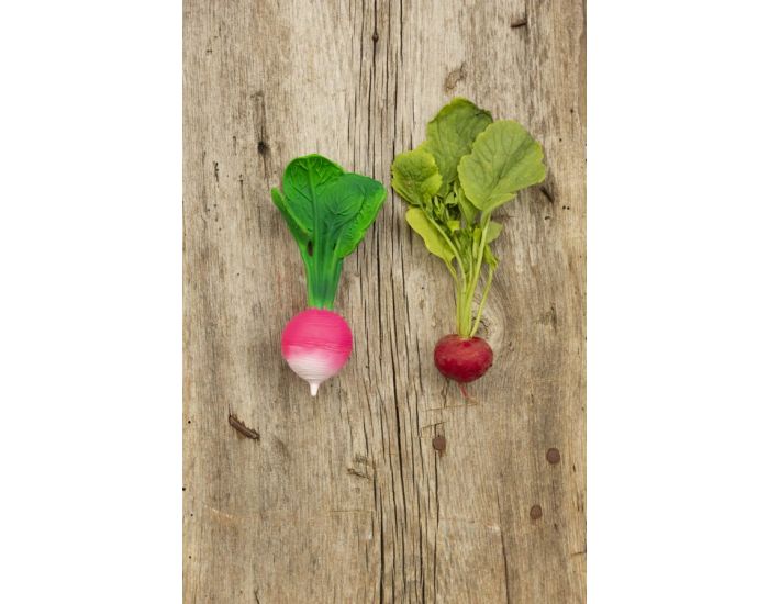 OLI & CAROL Jouet de Dentition Ramona le Radis - D�s la Naissance (9)