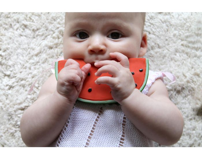 OLI & CAROL Jouet de Dentition Wally la Past�que - D�s la Naissance (1)