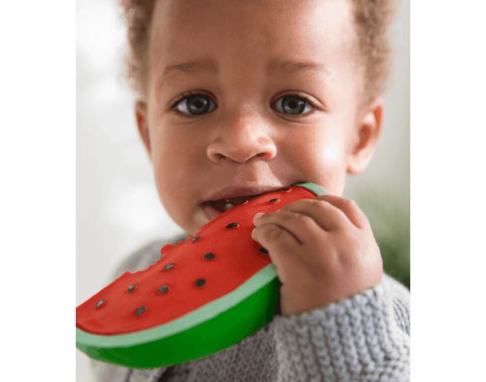 OLI & CAROL Jouet de Dentition Wally la Past�que - D�s la Naissance (13)