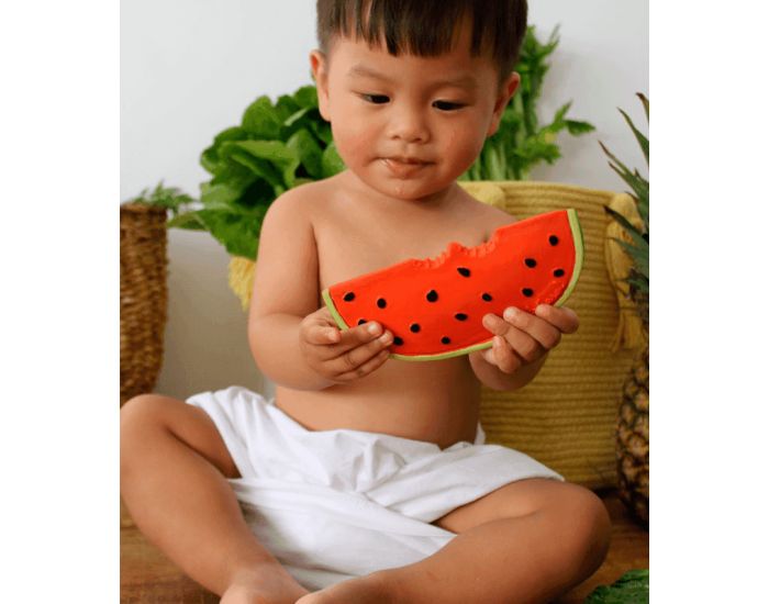 OLI & CAROL Jouet de Dentition Wally la Past�que - D�s la Naissance (14)