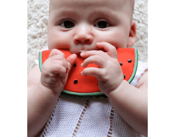 OLI & CAROL Jouet de Dentition Wally la Past�que - D�s la Naissance (15)