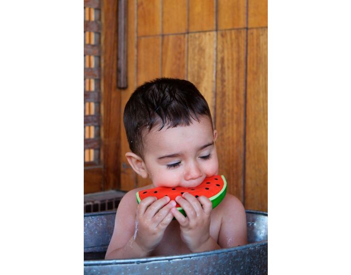 OLI & CAROL Jouet de Dentition Wally la Past�que - D�s la Naissance (4)