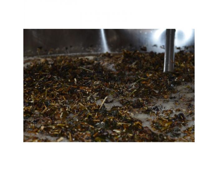 Macerat Huileux Arnica 50 ML (1)