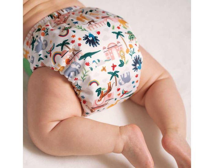 TOTS BOTS Couche Lavable TE2 - PEENUT - Taille Unique (3.5-15kg) - India (2)