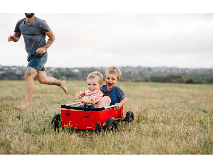WISHBONE DESIGN STUDIO Chariot Wagon 3 en 1 - D�s 12 mois (3)