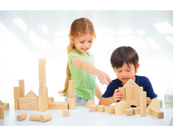 PLAN TOYS Blocs de construction 50 pi�ces - D�s 36 mois (1)