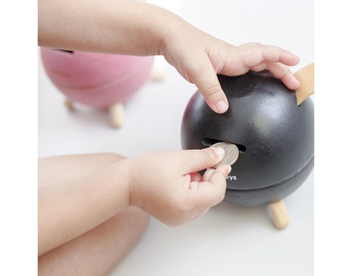 PLAN TOYS Tirelire Cochon - D�s 3 ans (1)