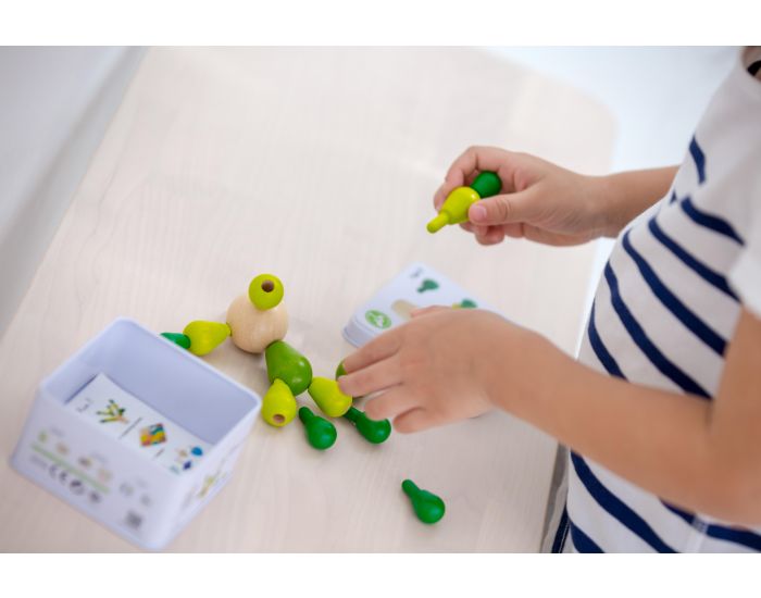 PLAN TOYS Mini Mikado Cactus - D�s 3 ans (3)
