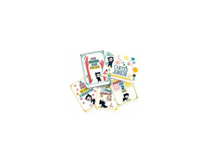 MILESTONE Cartes souvenirs - Junior - Ds 12 mois (1)