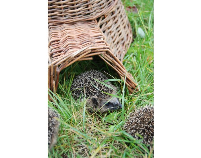 ESSCHERT DESIGN Panier H�risson - D�s 3 ans (1)