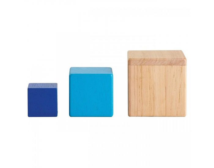 PLAN TOYS Cubes Imbriqus - Ds 12 Mois (2)