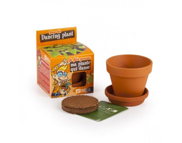 RADIS ET CAPUCINE Je fais pousser ma Plante qui danse (3)