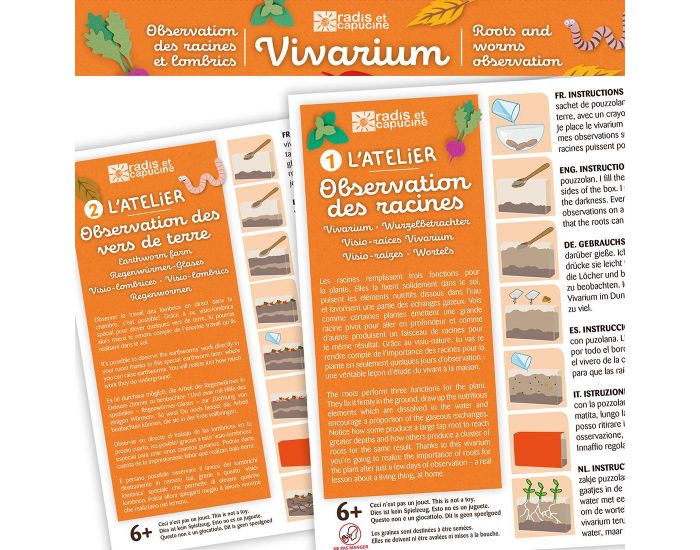 RADIS ET CAPUCINE Vivarium Observation des Racines et Vers de Terre (1)