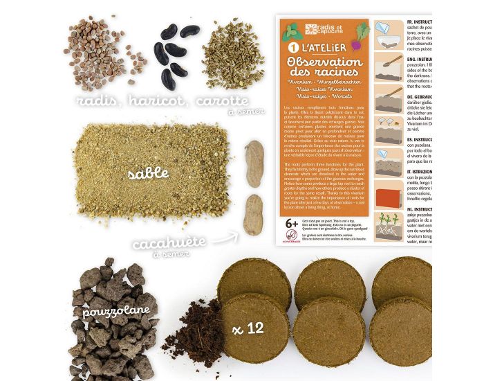 RADIS ET CAPUCINE Vivarium Observation des Racines et Vers de Terre (2)