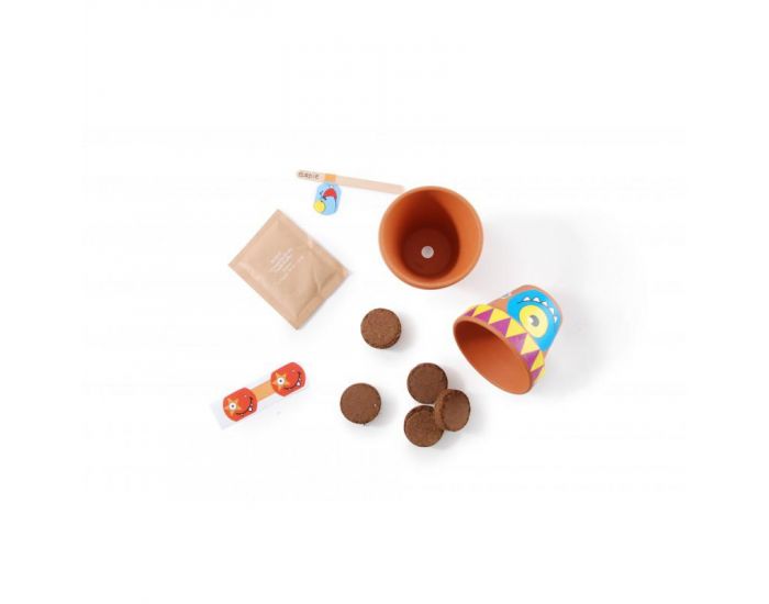 RADIS ET CAPUCINE Coffret DIY - Je Fabrique mes Pots Monstres - D�s 4 ans (1)