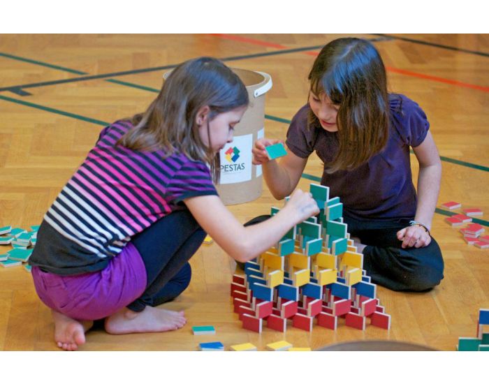 PESTAS Boite de 200 Dominos Pestas - D�s 4 ans  (3)