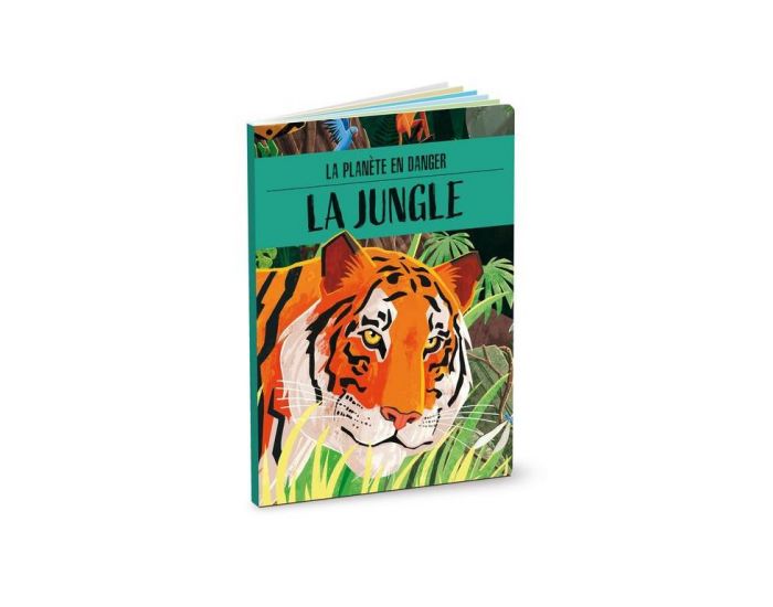 SASSI JUNIOR La Plante en Danger - La Jungle - Ds 6 Ans (1)