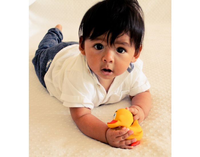 LANCO TOYS Canard jaune - D�s 3 mois (1)