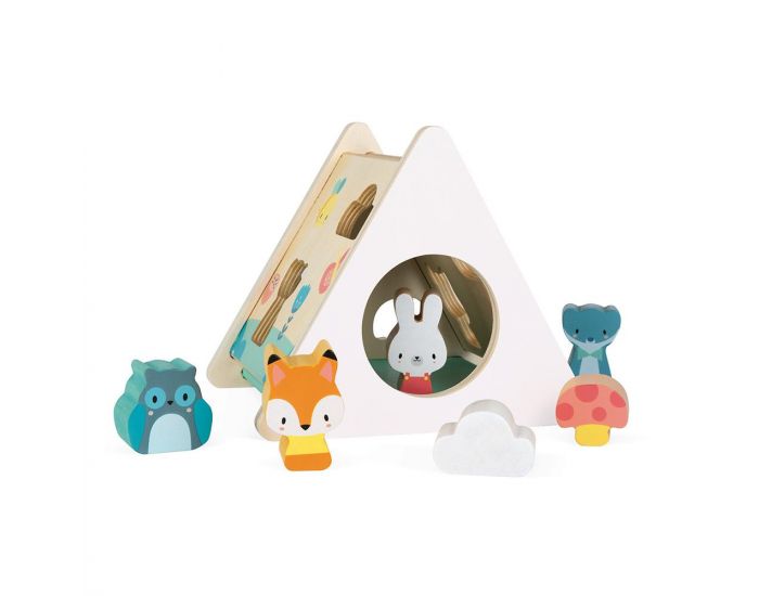 JANOD Bo�te � Formes Pure - D�s 1 an (2)