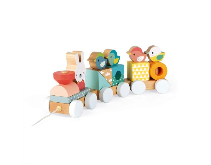 JANOD Train en bois Pure - D�s 1 an (1)