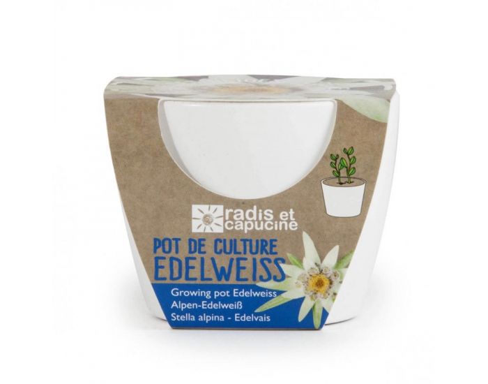 RADIS ET CAPUCINE Pot Cramique Blanc 8 cm - Edelweiss (1)