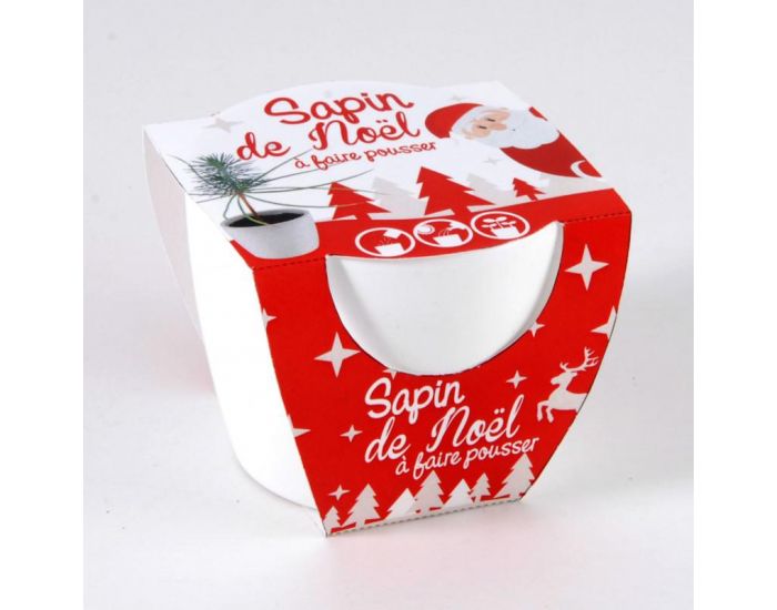 RADIS ET CAPUCINE Pot C�ramique Blanc 8 cm - Sapin de No�l (1)