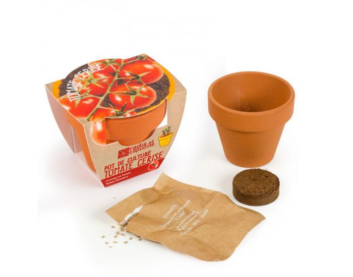 RADIS ET CAPUCINE Tomate Cerise Bio en Pot de Culture (1)