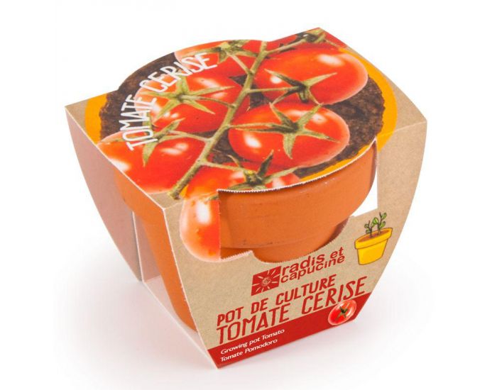RADIS ET CAPUCINE Tomate Cerise Bio en Pot de Culture (2)