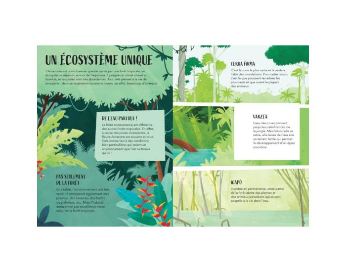 SASSI JUNIOR La Plan�te en Danger - L'Amazonie - D�s 6 ans - 220 pi�ces (2)