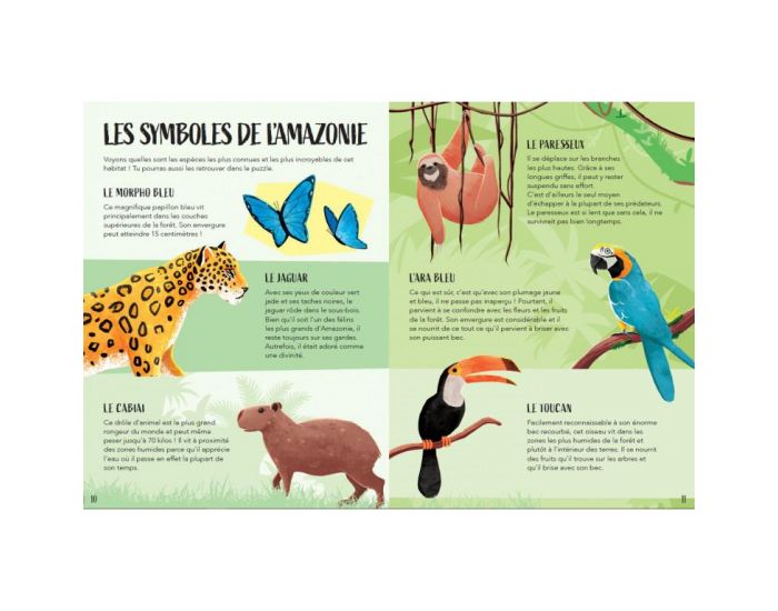 SASSI JUNIOR La Plan�te en Danger - L'Amazonie - D�s 6 ans - 220 pi�ces (3)