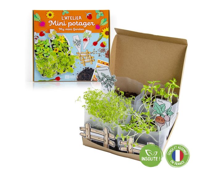 RADIS ET CAPUCINE Coffret Mini Potager - Ds 4 ans (1)