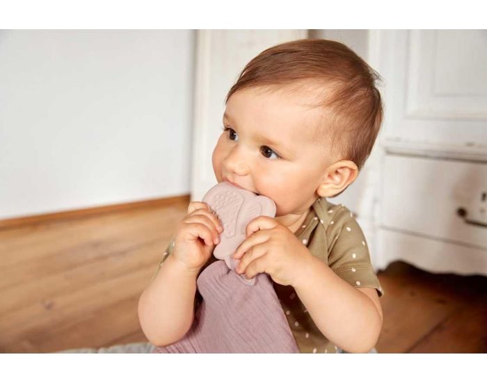 LASSIG Doudou Lange et son Anneau de Dentition  (2)