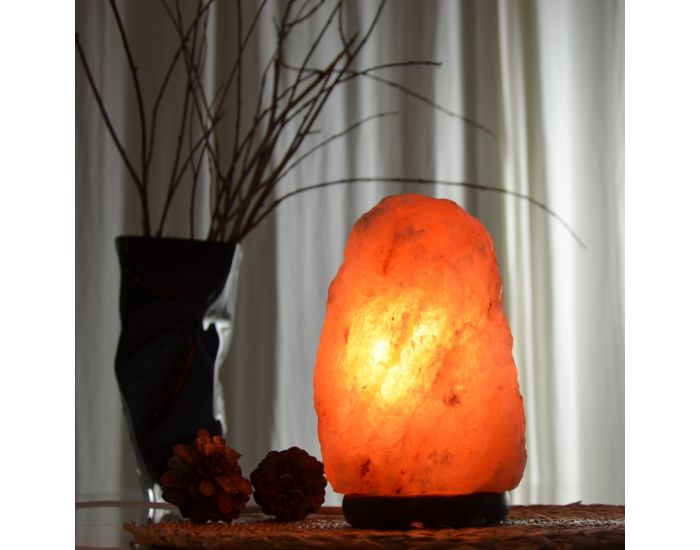 ZEN'ARôME Lampe en Cristal de Sel d'Himalaya de 2 à 3 kg   (1)