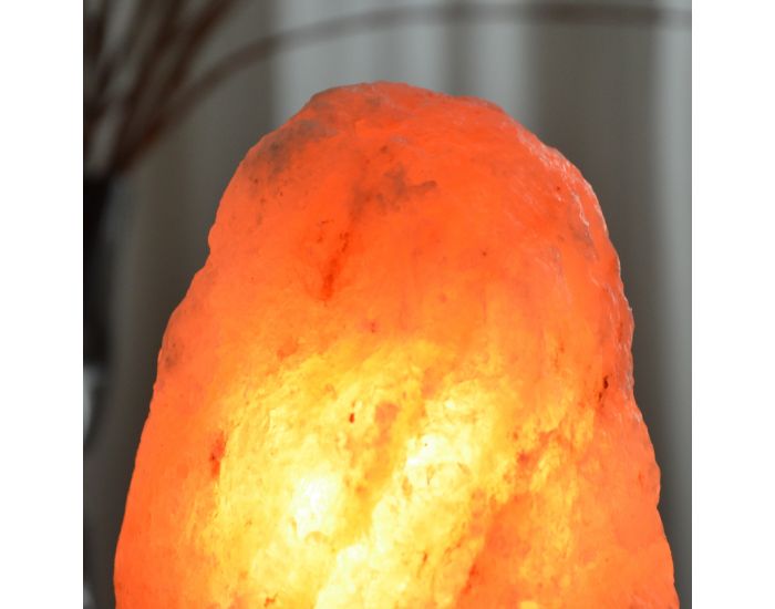 ZEN'ARôME Lampe en Cristal de Sel d'Himalaya de 2 à 3 kg   (2)