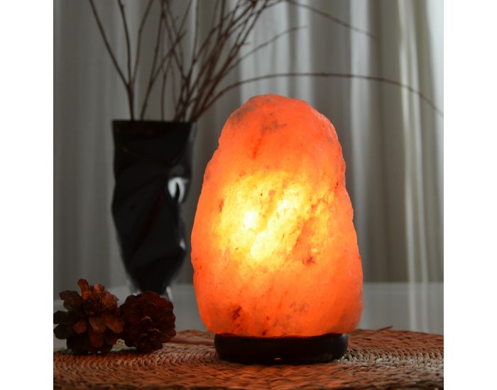 ZEN'ARôME Lampe en Cristal de Sel d'Himalaya de 2 à 3 kg   (3)
