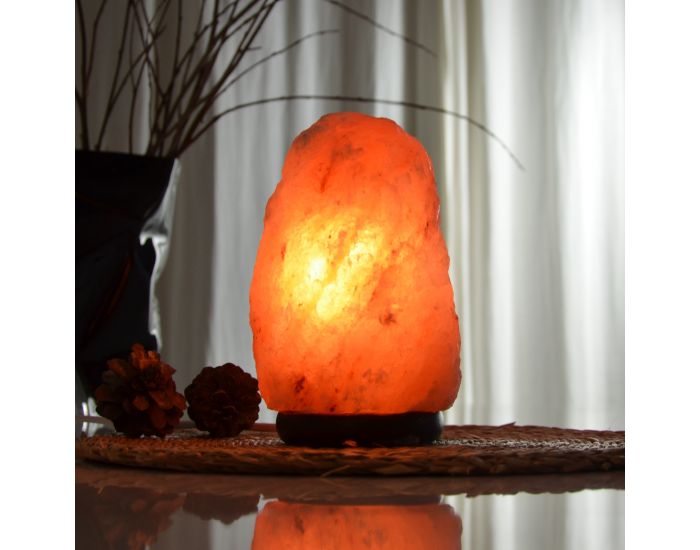 ZEN'ARôME Lampe en Cristal de Sel d'Himalaya de 2 à 3 kg   (4)