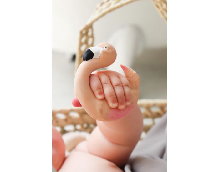 OLI & CAROL Bracelet de Dentition Sky le Flamant - D�s la Naissance (1)