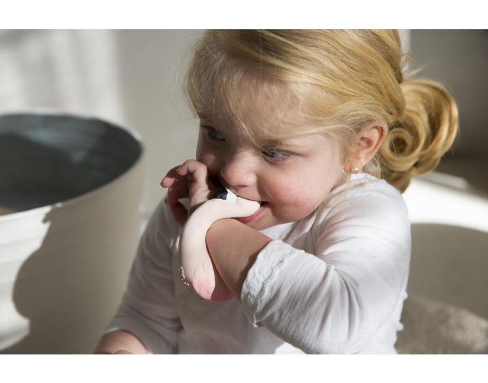 OLI & CAROL Bracelet de Dentition Sky le Flamant - D�s la Naissance (2)