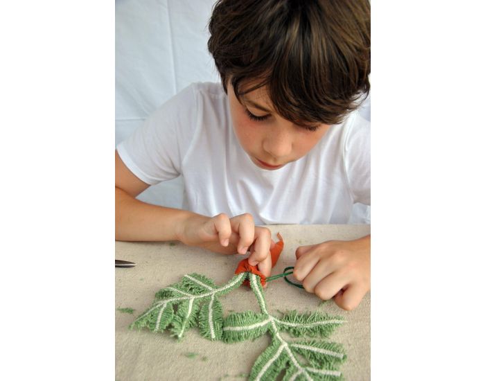 OLI & CAROL Kit de Couture Do It Yourself Cathy La Carotte - D�s 6 ans  (4)